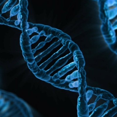 Epigenetik -Vortrag -  Gene ein- und auschalten (3. April 2024 um 19 Uhr))
